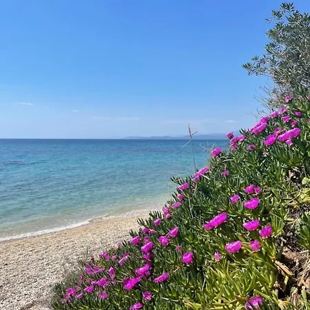 Sea View 1