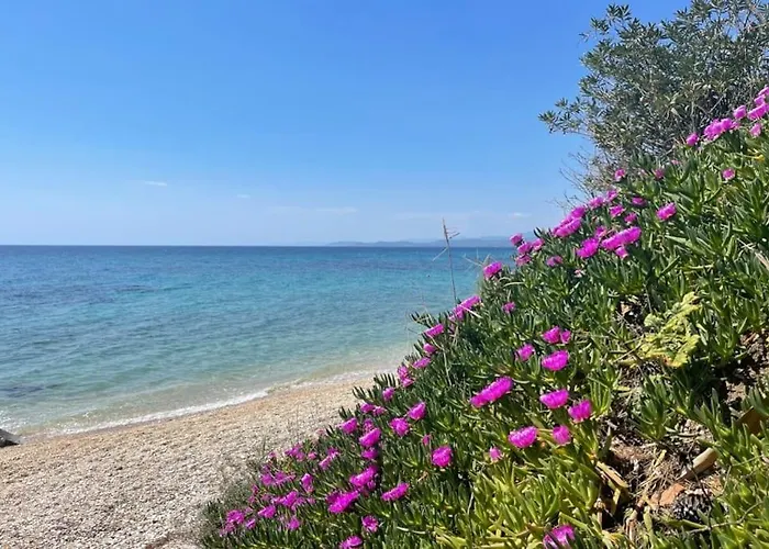 Sea View 1